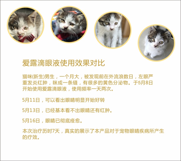 滴眼液使用效果.jpg